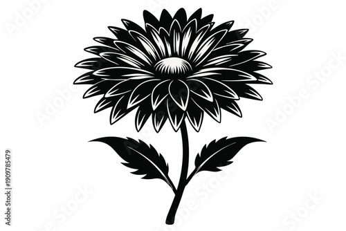 gaillardia silhouette line art vector illustration