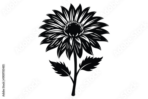 gaillardia silhouette line art vector illustration