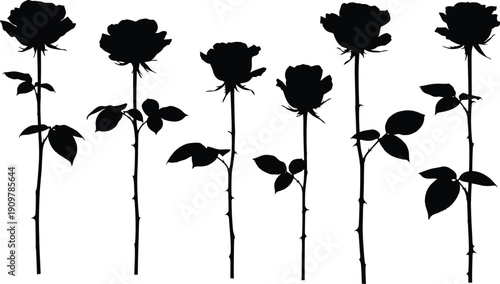 Rose Flower Silhouettes Mega Collection for Floral Tattoo and Wedding Design