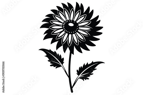 gaillardia silhouette line art vector illustration