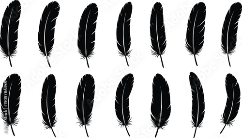 Black bird feather silhouettes set vector illustration of various plumage shapes for graphic design elements tribal art or elegant light decorative nature theme