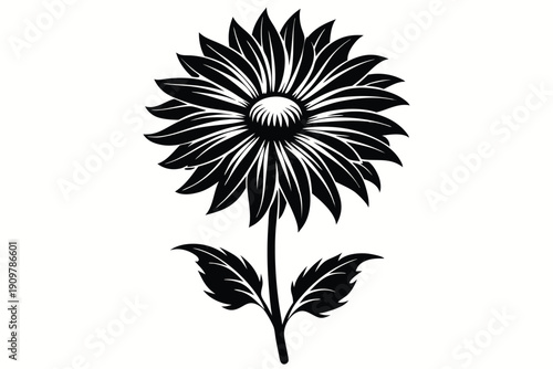 gaillardia silhouette line art vector illustration