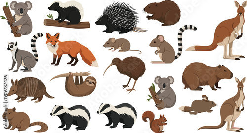 Vector illustration of various wild animals set including koala kangaroo fox and lemur isolated on white for kids education nature book and wildlife ecosystem design