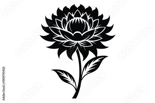 everlasting flower silhouette line art vector illustration