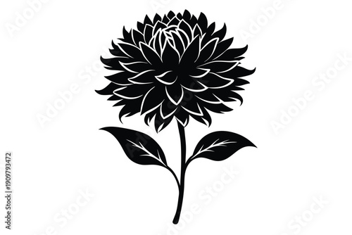 everlasting flower silhouette line art vector illustration