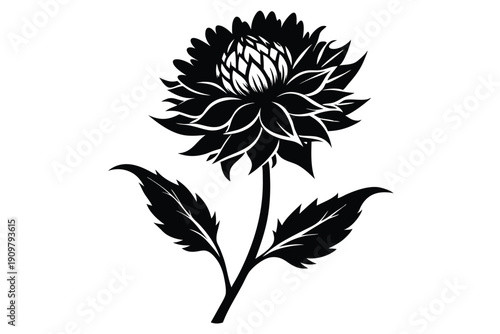 everlasting flower silhouette line art vector illustration