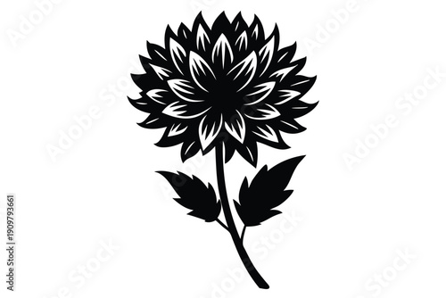 everlasting flower silhouette line art vector illustration