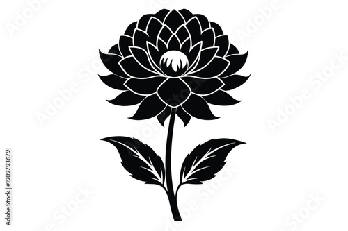 everlasting flower silhouette line art vector illustration