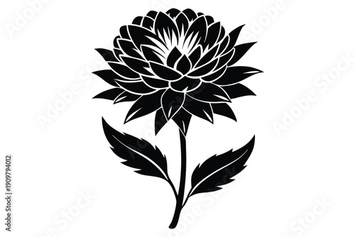 everlasting flower silhouette line art vector illustration