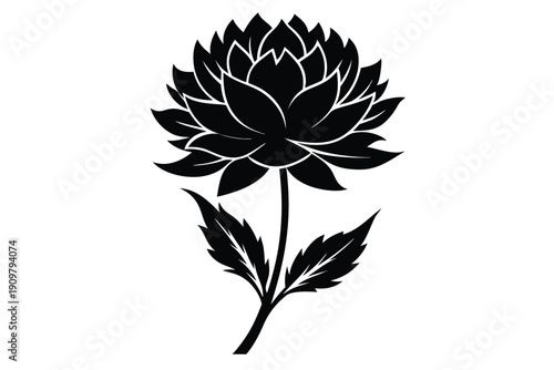 everlasting flower silhouette line art vector illustration
