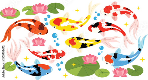 Colorful Japanese koi fish swimming in pond with lotus flowers flat vector illustration on black background