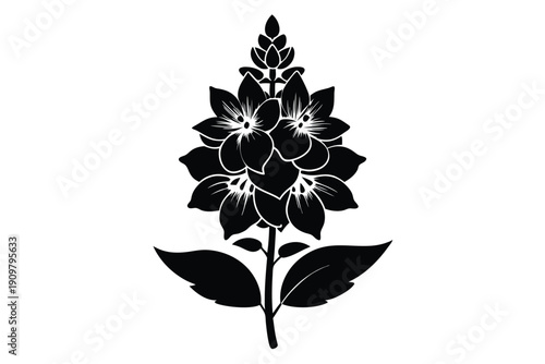 delphinium silhouette line art vector illustration