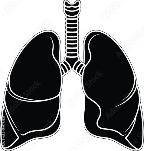 a simplified black and white illustration depicts a human respiratory system prominently showcasing the lungs and trachea for educational purposes