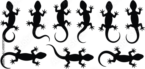 Gecko Lizard Silhouette Outline Set Climbing and Crawling Poses