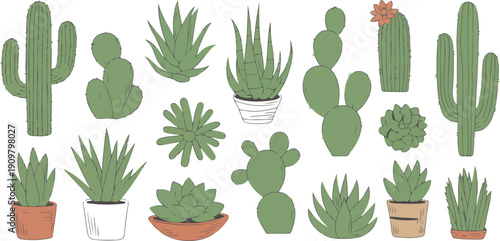Cactus and Succulent Plants Vector Set  Hand Drawn Desert Botanical Collection