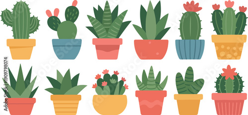 Cactus and Succulent Plants Vector Set  Hand Drawn Desert Botanical Collection