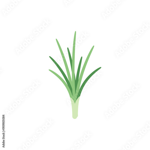 Flat Vector Illustration of Green Herb Leaves Cluster