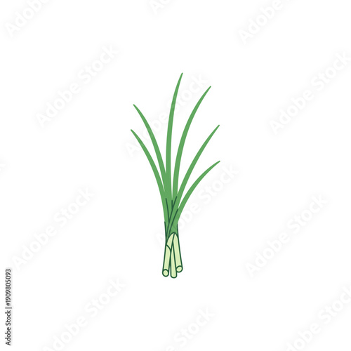 Minimal Flat Vector Illustration of Green Grass-Like Stalks with Organic Flow