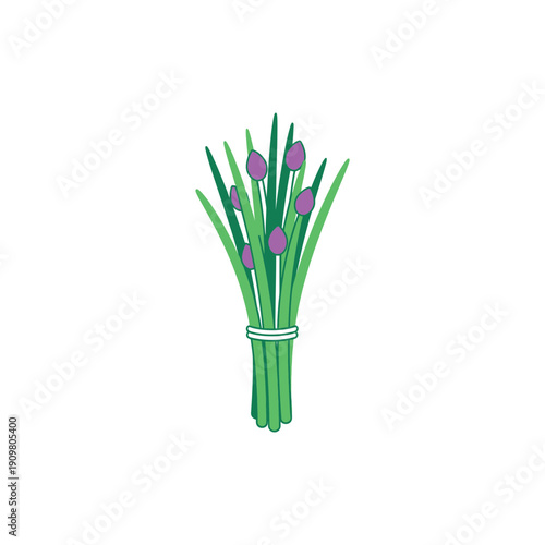 Flat Vector of Chives Bundle with Purple Flowers and White Band