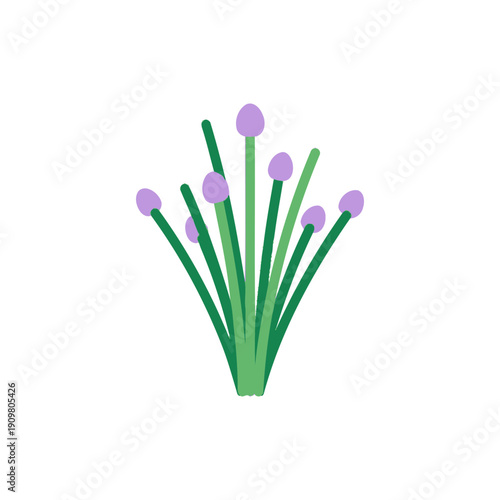 Minimal Flat Vector of Chives with Purple Flower Buds