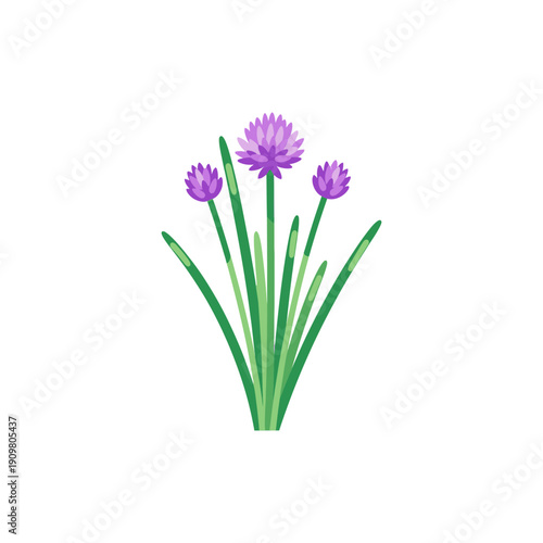 Stylized Flat Vector of Chives with Purple Flower Heads and Highlights