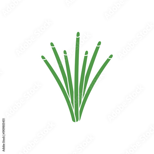 Minimal Flat Vector Icon of Chives Plant for App Interface