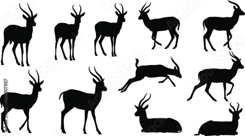 Antelope silhouettes collection, wild deer animals in various poses, African wildlife illustration, running and standing antelopes, vector, isolated on white background