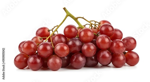 Bunch of red grapes on vine