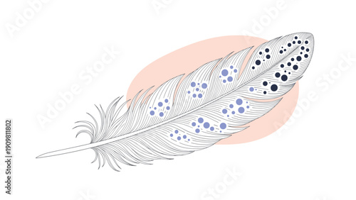 Decorative bird feather with blue spots is shown against a soft pink background blob in a detailed artistic style.