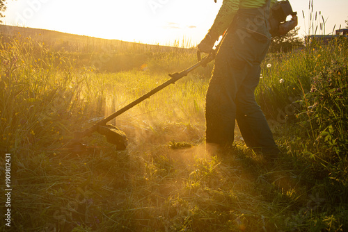 Worker Cutting Grass with Brush Cutter at Sunset