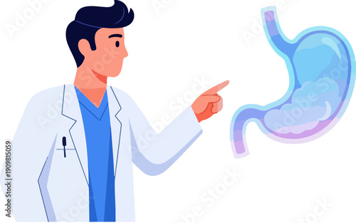 Vector illustration of male doctor pointing at transparent blue human stomach with digestive process, medical diagnosis concept, isolated on white