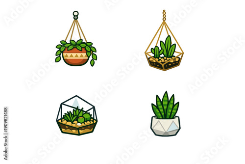 Four vector illustrations of various houseplants including succulents and a snake plant in geometric glass terrariums and ceramic pots, isolated on a dark background.
