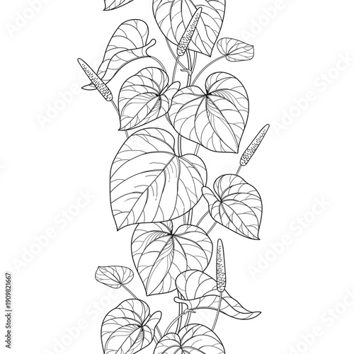 Vertical seamless pattern with outline Kava kava (Piper methysticum) leaves in black on the white background.