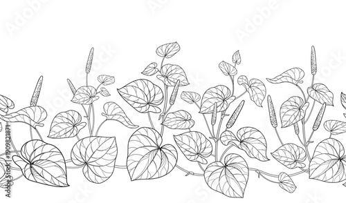 Horizontal seamless pattern with outline Kava kava (Piper methysticum) leaves in black on the white background.