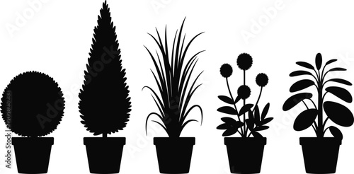 Potted plant silhouette set, indoor houseplants and decorative shrubs in pots, modern botanical black vector illustration isolated white background