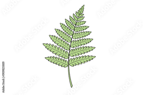 A single green fern frond with detailed leaflets is centered against a solid black background. This botanical illustration features a minimalist style with clean black outlines.