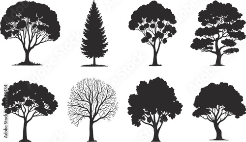 Tree silhouette collection set, eight different tree shapes, deciduous and pine forest elements, black vector illustration isolated white background