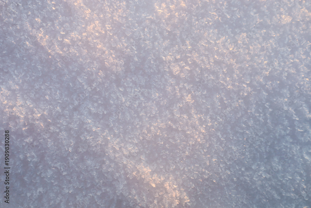 Obraz premium Macro photography of a pure snow surface covered with small frost crystals sparkling under the soft warm light of the winter evening sun.