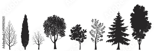 Silhouettes of diverse tree types showing seasonal variations and unique foliage patterns, botanical vector illustration for design, forestry, and nature studies