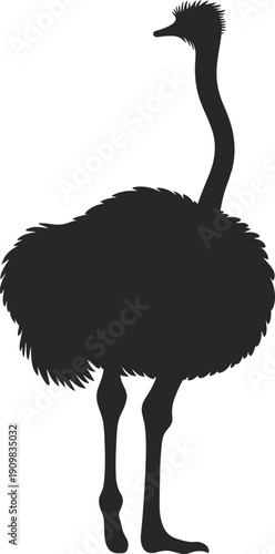 Ostrich silhouette vector illustration, large flightless bird standing side view, wildlife animal shape, African fauna isolated design element