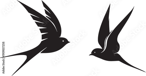 Flying swallow bird silhouette vector isolated on white background