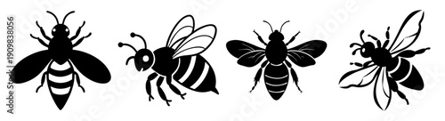 Black and white bees and flower illustration set isolated on white background vector nature pollination