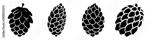 Four black raspberries isolated on white background, fresh organic berries, minimalist food photography, high detail close-up