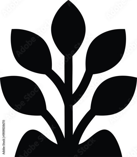 succulent plant silhouette vector illustration on transparent background