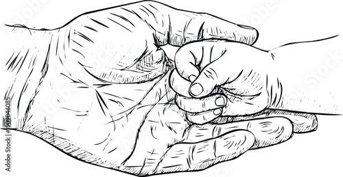 A detailed sketch of hands delicately holding a small bird. Vector