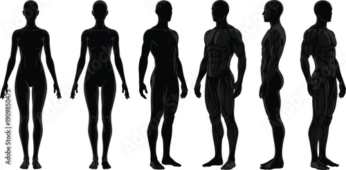 Silhouettes of male and female human figures in front, side, and three-quarter views with anatomical muscle details for design themes