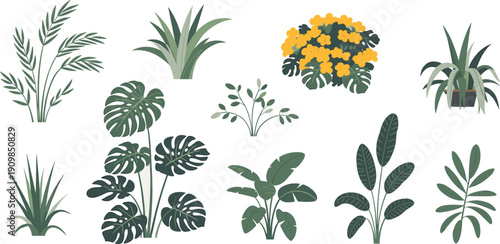 Beautiful Collection of Various Green Houseplants, Tropical Plants, Indoor Plant Illustrations, Modern Nature Designs for Home Decoration