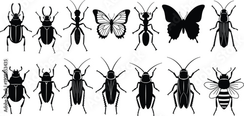 Silhouettes of various insects including beetles, ants, butterflies, cockroaches, crickets, and bee for educational and design themes