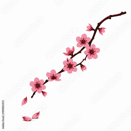 Elegant Sakura Branch Delicately Adorned with Vibrant Pink Cherry Blossoms Against a Soft White Background Emanating Tranquility and Timeless Beauty