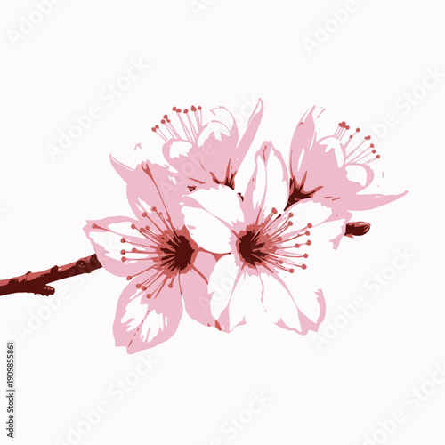 A close-up view of delicate pink cherry blossom flowers in full bloom, showcasing intricate petals with subtle color gradients and lush green leaves on a tree branch